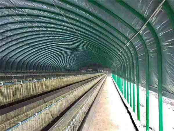 日光温室养殖大棚建设