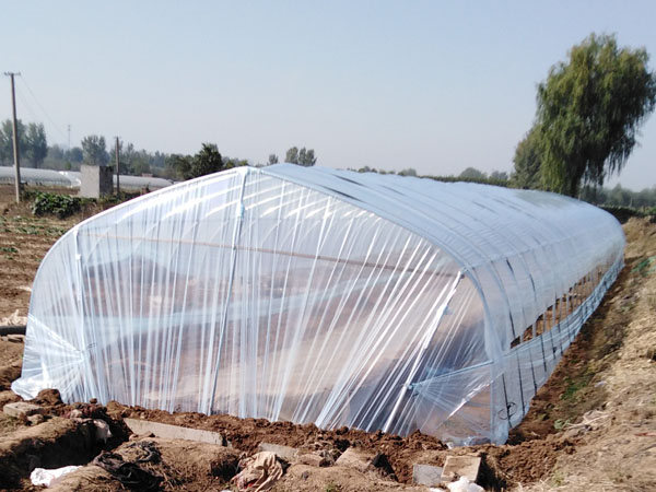 南北地区温室大棚的区别以及温室大棚建设所需要准备的材料